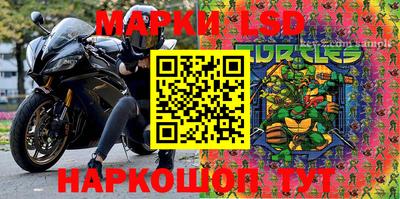крисы Будённовск