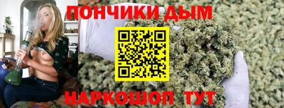 крисы Будённовск